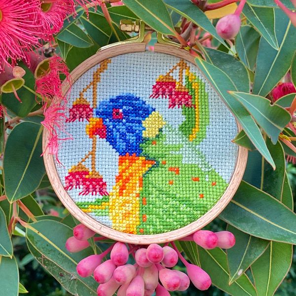 Rainbow Lorikeet cross-stitch