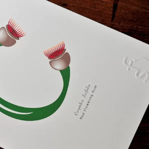 Typotany letter C - Corymbia Ficifolia digital print